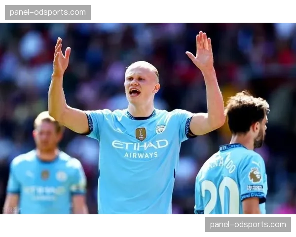 争议瞬间：回放显示，水晶宫球员在禁区内有疑似犯规动作